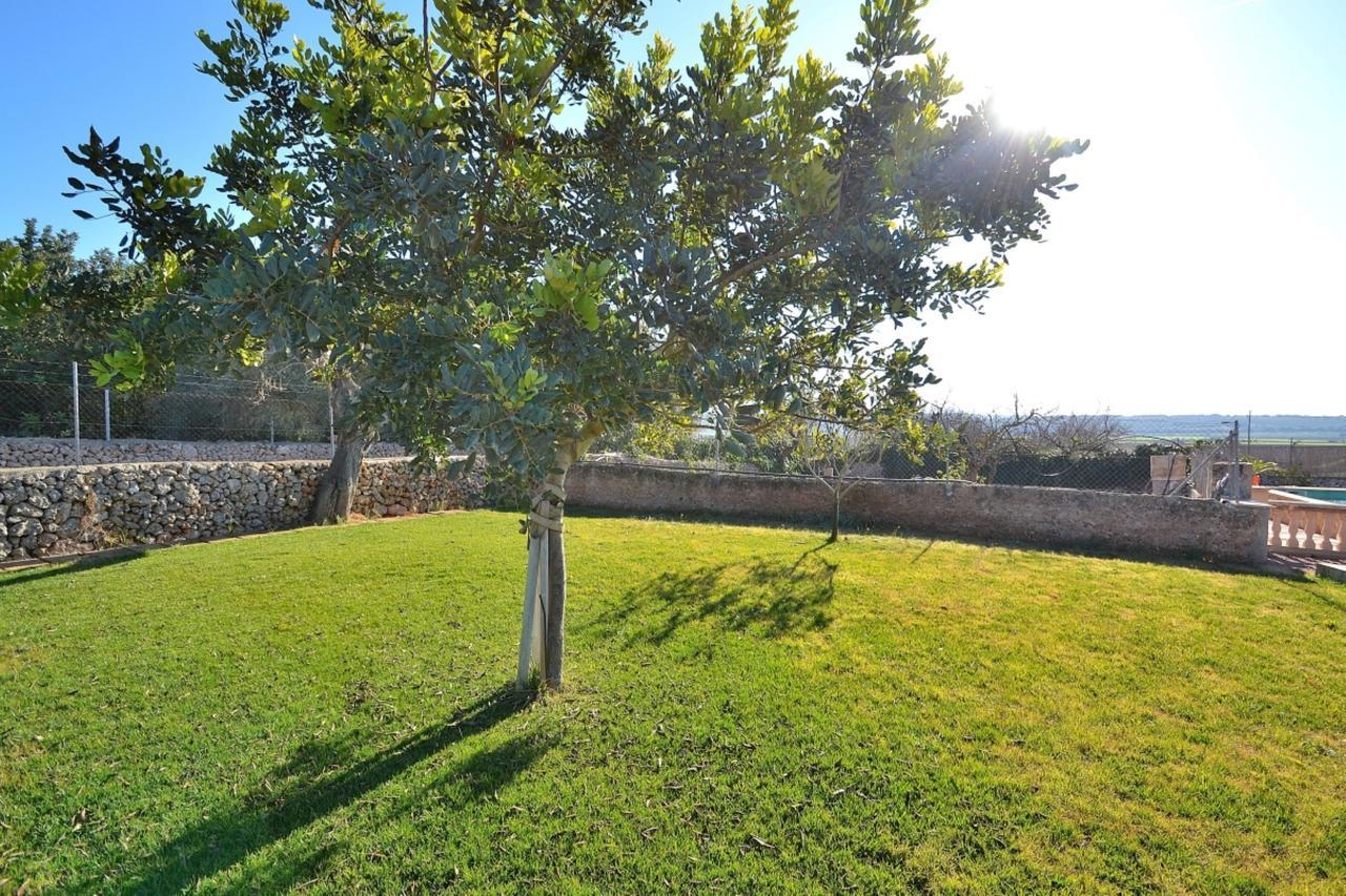 078 Finca Sa Rota Vt1953 By Mallorca Charme Ariany Eksteriør bilde
